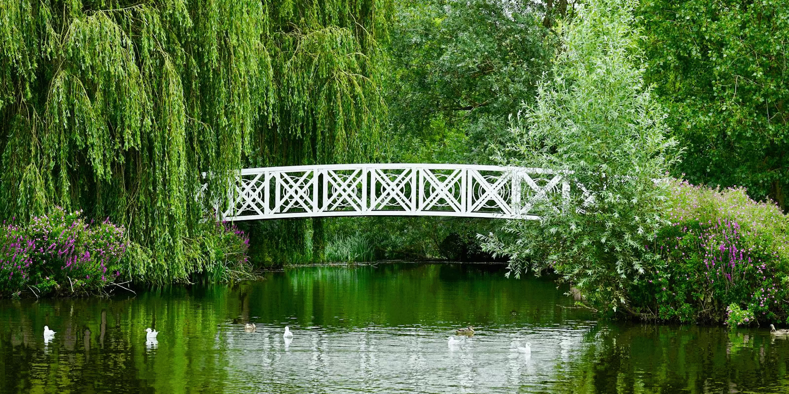 Sirona Therapy Westchester a bridge to the beauty within.
