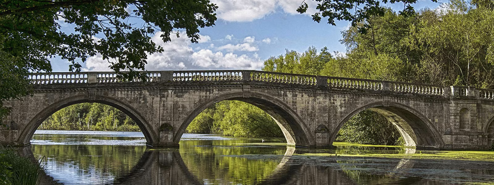 Sirona Therapy Westchester NY a bridge to better mental health